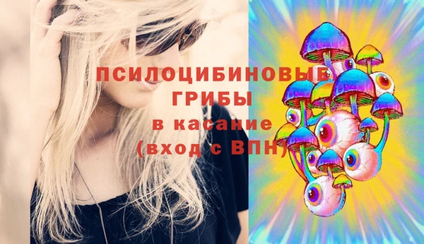 крисы Абинск