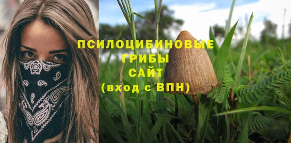 мет Алзамай